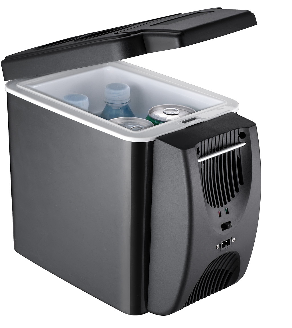 Mini Fridge 6 L Portable Fridge Cooler And Warmer Compact Small Refrigerator Can Be Customized LOGO for Skincare, Medications, Beverage, Home And Travel